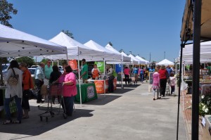 Apr16PopUpAngledTents