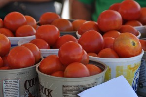 Apr16PopUpTomatoes