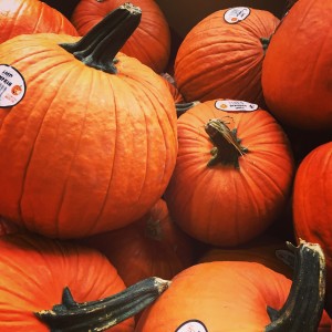 pumpkins