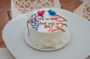 SCGenderReveal2